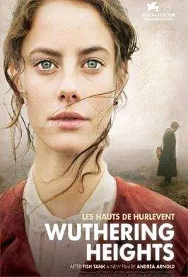 cartel_cumbresborrascosas