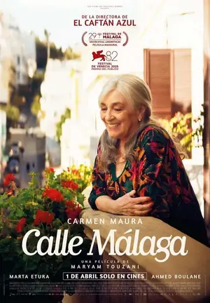 cartel_callemalaga