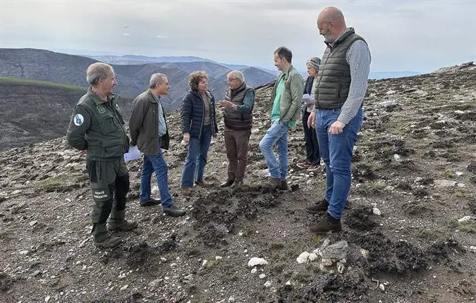 somoscomarca_202600421_chandrexadequiexa_recuperacion_incendios3353
