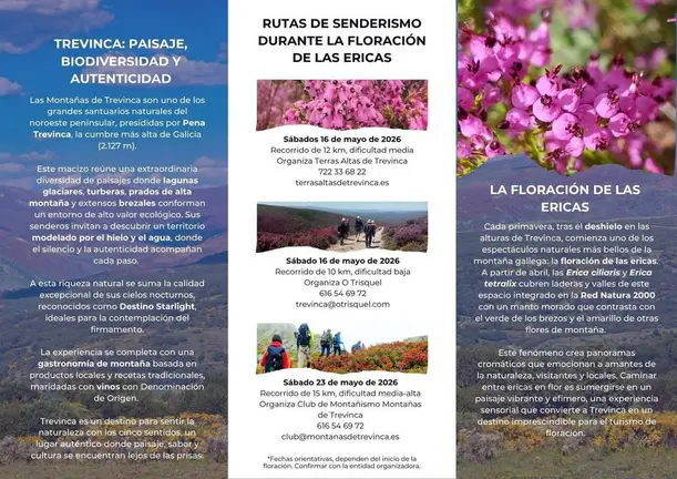 cartel_aveigarutas