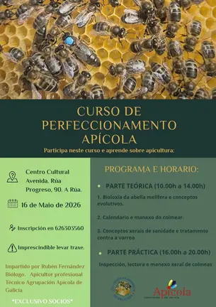 cartel_curso
