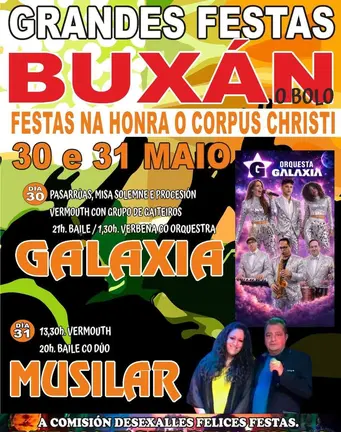 cartel_fiestabuxan