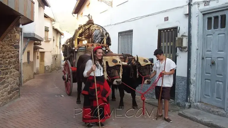 somoscomarca_petin_feria1812_2016-3