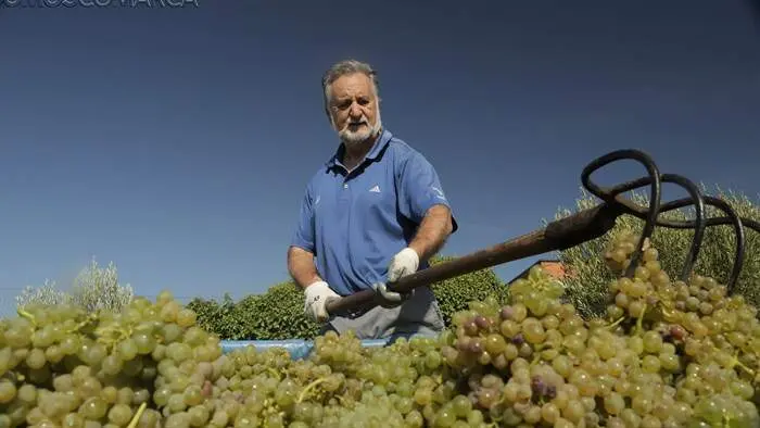 somoscomarca_202600604_obarco_turismo_vinosbarco3614