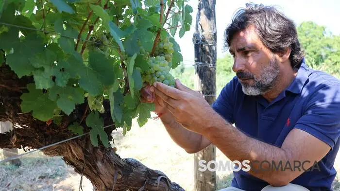 somoscomarca_obolo_voluntariado_3287