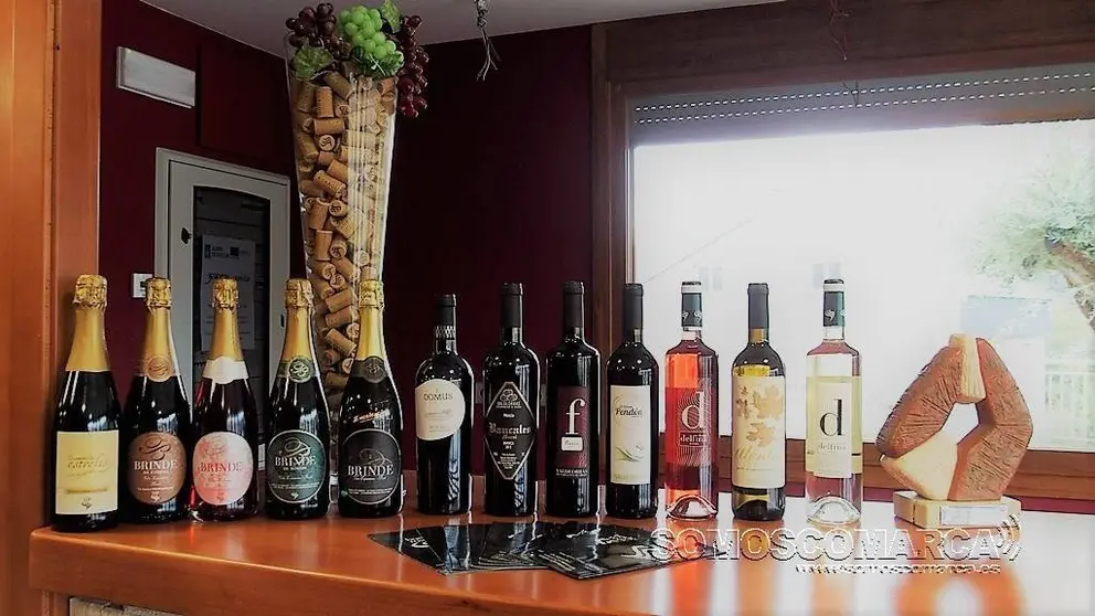 Bodega Roandi