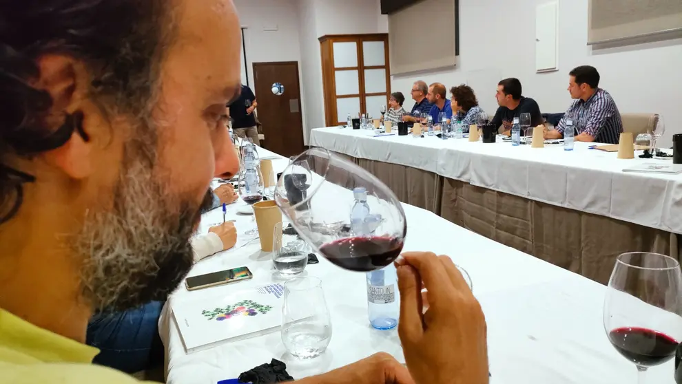 Curso cata_Ruta do viño_viñedos_15