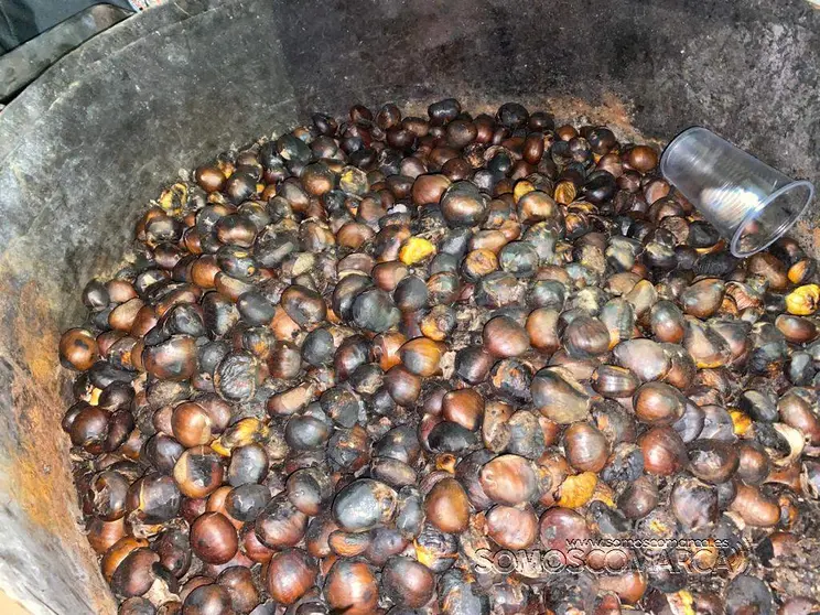 Magosto de Petín 2021 (18)