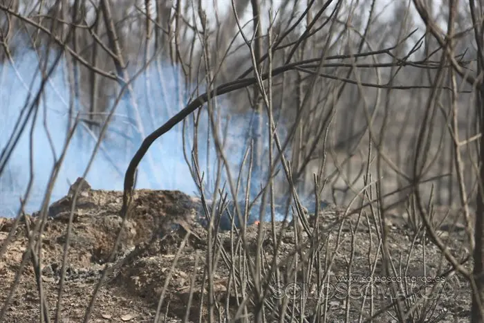 somoscomarca_seadur_incendio_2022 (11)