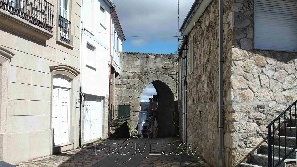 Porta da Vila Manzaneda