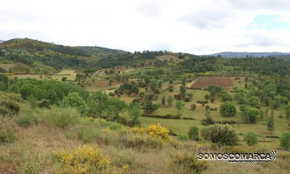 Camporredondo, Petín