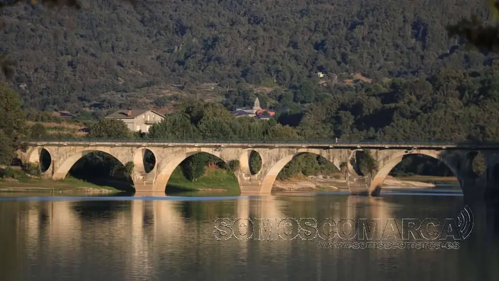 pontexares