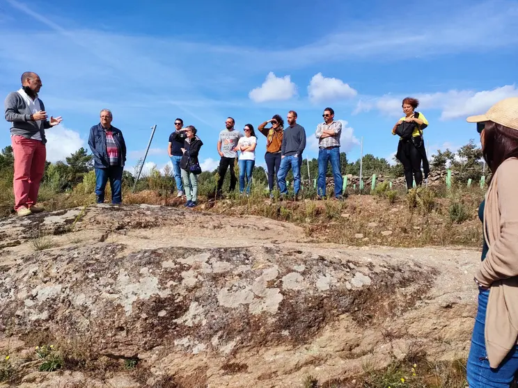 Curso cata_Ruta do viño_viñedos_16