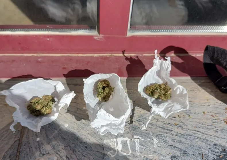 somoscomarca_marihuana_droga_institutos_obarco