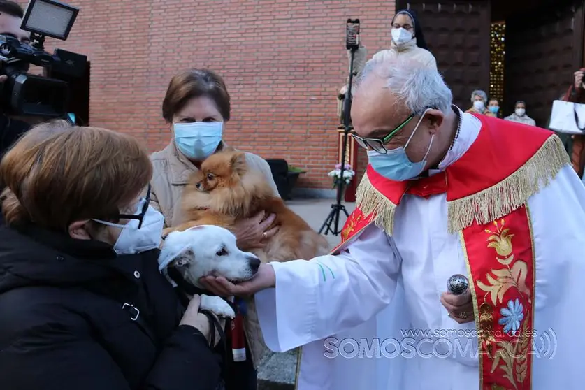 Bendición animales en O Barco el día de San Antonio 2022 (24)