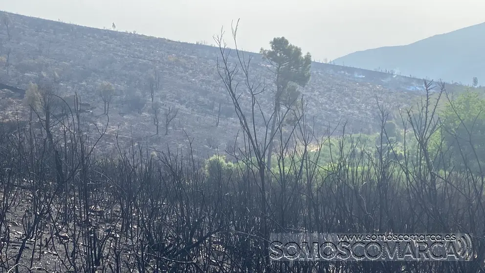 somoscomarca_incendio_larouco_seadur_quemado_+-2022-06-16