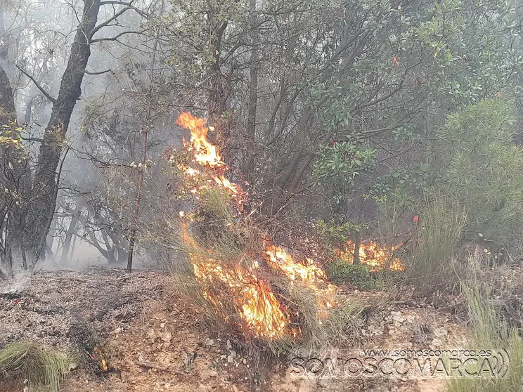 somoscomarca_incendio_arcos_fuego_2022-06-16 (2)