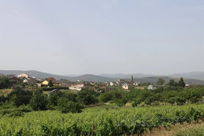 portada_somoscomarca_larouco_panoramicas_viña_2022 (3)