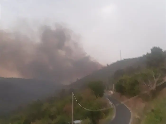 Incendio en Carballal provocado por un rayo (1)