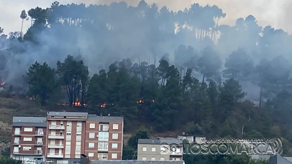 somoscomarca_robledodedomiz_incendio_fuego_casas_carballeda_bascois_2022-7-19 (5)