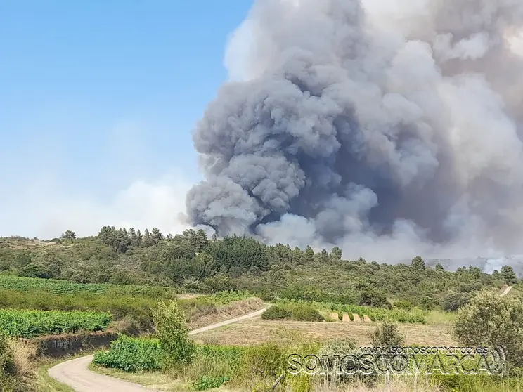somoscomarca_fuego_incendio_rubia_carballeda_viladequinta_2022-07-19 (4)