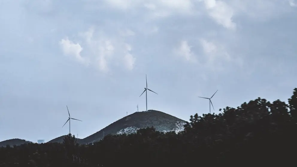 Tipos de energías renovables y por qué son importantes