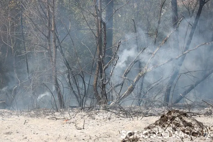 Incendio en O Córrego, O Barco (4)