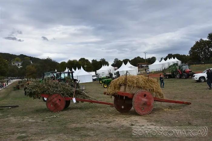 Crianza Trevinca, exposición ganadera y agrícola (33)