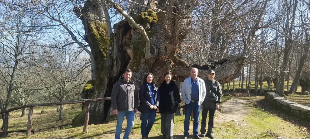 somoscomarca_amable_arbol_castaño_2023-02-15