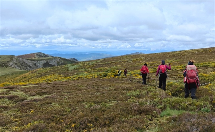 somoscomarca_peñatrevincaandaina_terrasdetrevinca_eolicosno_202320231203 (1)