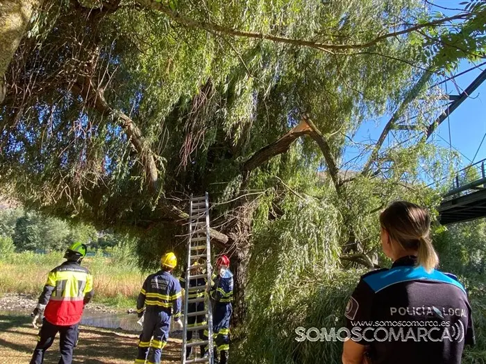 somoscomarca_obarco_malecón_roturaramasauce_2023