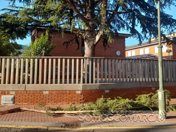 somoscomarca_obarco_acera_martaguisela_ramacaida