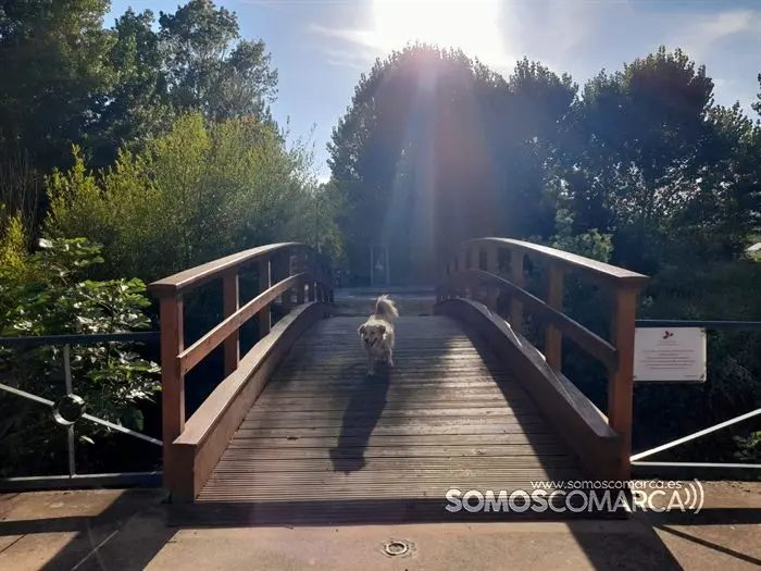 somoscomarca_obarco_perro_panchito_202320232178