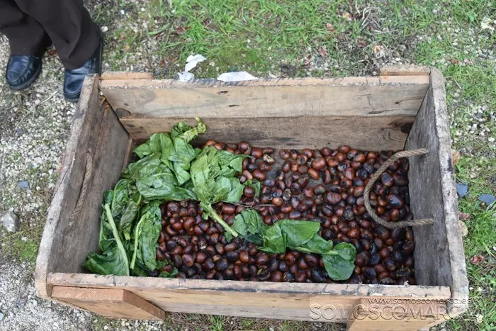 somoscomarca_rubia_magostosolidario_castañas_interparroquial_2023 (23)