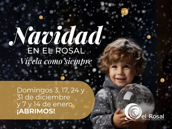 Navidad 600x450