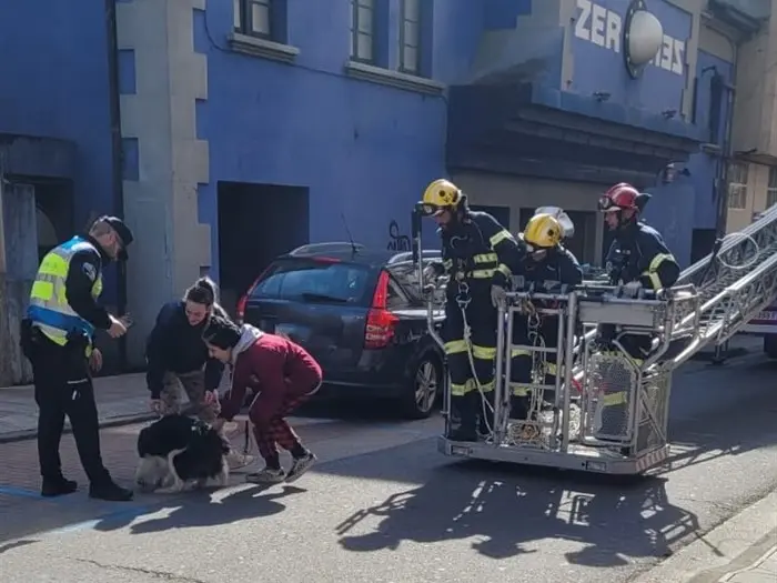Portada_somoscomarca_240213_obarco_rescate_perro_avenidaestacion_bomberos (1)