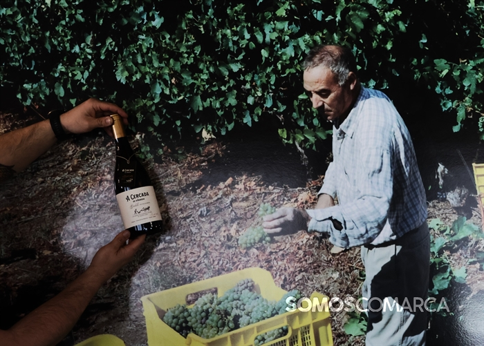 somoscomarca_240321_viñaredo_elalbueloloo_josemoreno_ (5)