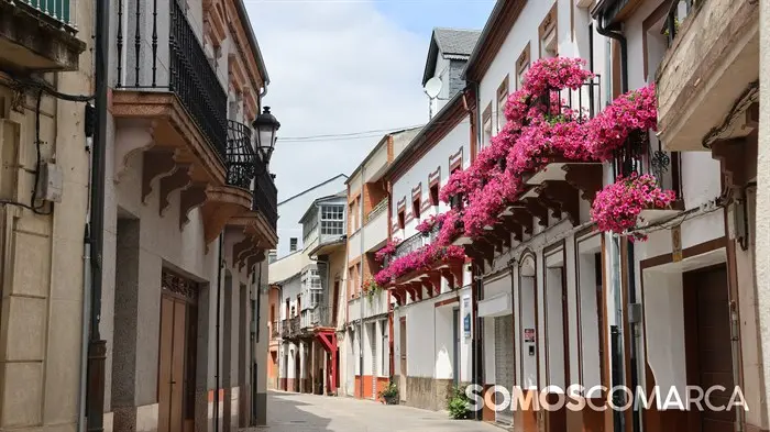 somoscomarca_240614_obarco_cascovello_ruaruareal_flores_1167 (1)