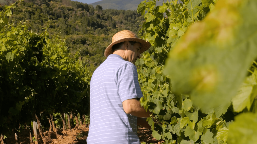 VB campaña verano 07