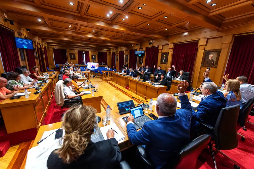 P_Pleno ordinario da Deputación Ourense correspondente ó mes de xullo. Asisten Luís Menor Pérez (Presidente Deputación); Marta Nóvoa Iglesias (VicePresidenta 1ª); Cesar Fernández Gil (VicePresidente 2º); Placido Álvarez Dobaño (VicePresidente 3º); Rosendo Fernández; Jorge Pumar Tesouro (Deputado PPOU); José Miguel Pérez Blecua (Deputado PPOU); Manuel Seoane Rodríguez (Deputado PPOU); Patricia Torres Madureira (Deputado PPOU); María del Carmen González Quintela (Deputada PPOU); José María Lago Cabo (Deputado PPOU); María Teresa Barge Bello (Deputada PPOU); José Ignacio Gómez Pérez (Deputado PSOE); Elvira Lama Fernández (Deputado PSOE); Diego Fernández Nogueira (Deputado PSOE); Susana Rodríguez Estévez (Deputado PSOE); Marina Vaz Quintillán (Deputada PSOE); Álvaro Vila Araujo (Deputado PSOE); Aurentino Alonso Araujo (Deputado PSOE); Armando Ojea Bouzo (Deputado DO); Gonzalo Pérez Jácome (Deputado DO); Rafael Martínez Cachafeiro (Deputado DO); Bernardo Varela López (Deputado BNG), Xosé Manuel Puga González (Deputado BNG), María José Mangana Guede (Deputada BNG), Mónica Legaspi (Interventora Deputación Ourense) e Juan Marquina (Secretario Deputación Ourense).
