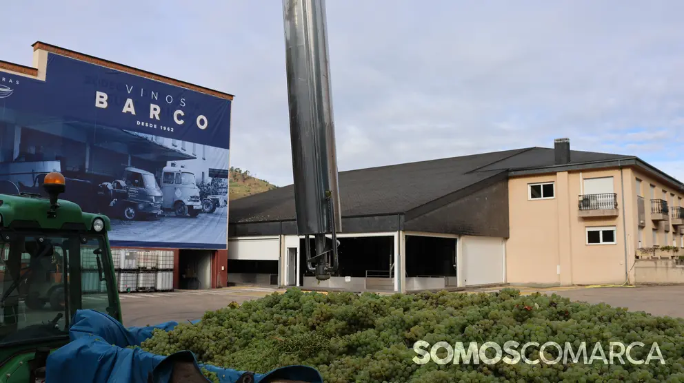 somoscomarca_240905_obarco_cooperativa389