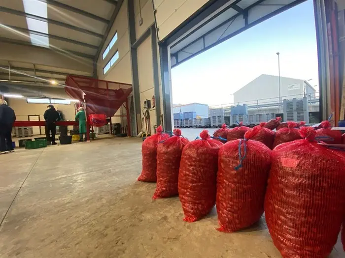 somoscomarca_20241100_4765