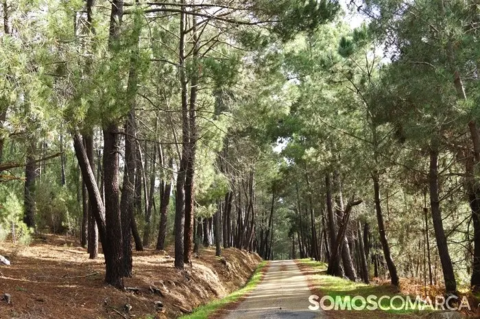 somoscomarca_20241208_larouco_panoramica_rutaromana (3)