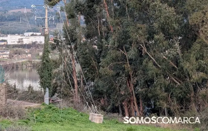 somoscomarca_petin_pradodagranxa_eucaliptos_tendidoelectrico_tala (1)
