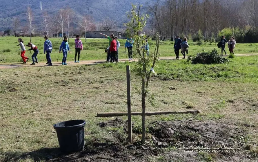 somoscomarca_arua_aguillon_plantararbol