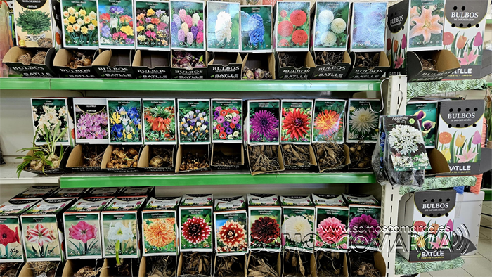 somoscomarca_20250314_teran_bulbos_huerta_semillas_fresas (1)