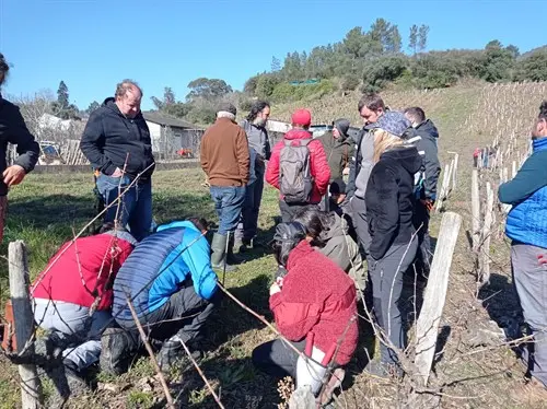 somoscomarca_20250317_arua_uned_poda44