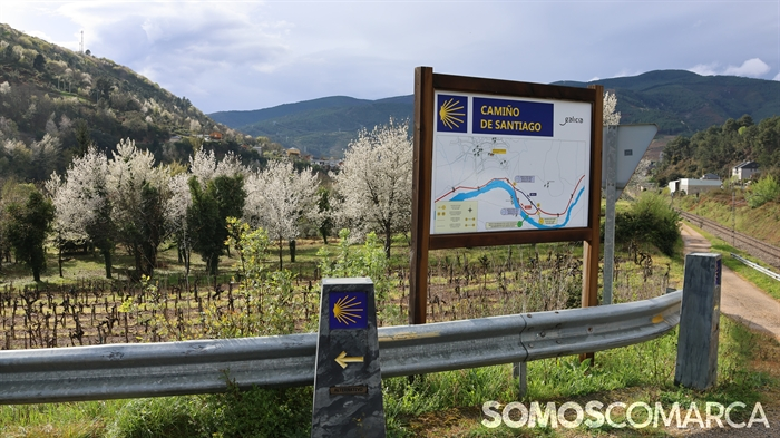 somoscomarca_vilamartin_camiñodeinverno