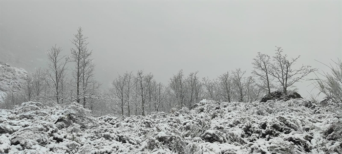 somoscomarca_cotodexares_nieve_nevada