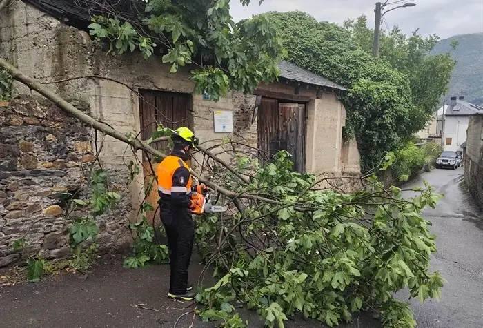 somoscomarca_arua_arbolescaidos_proteccioncivil (1)